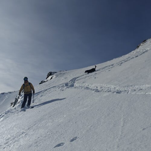 Esquí de montaña Bielsa-Aragnouet